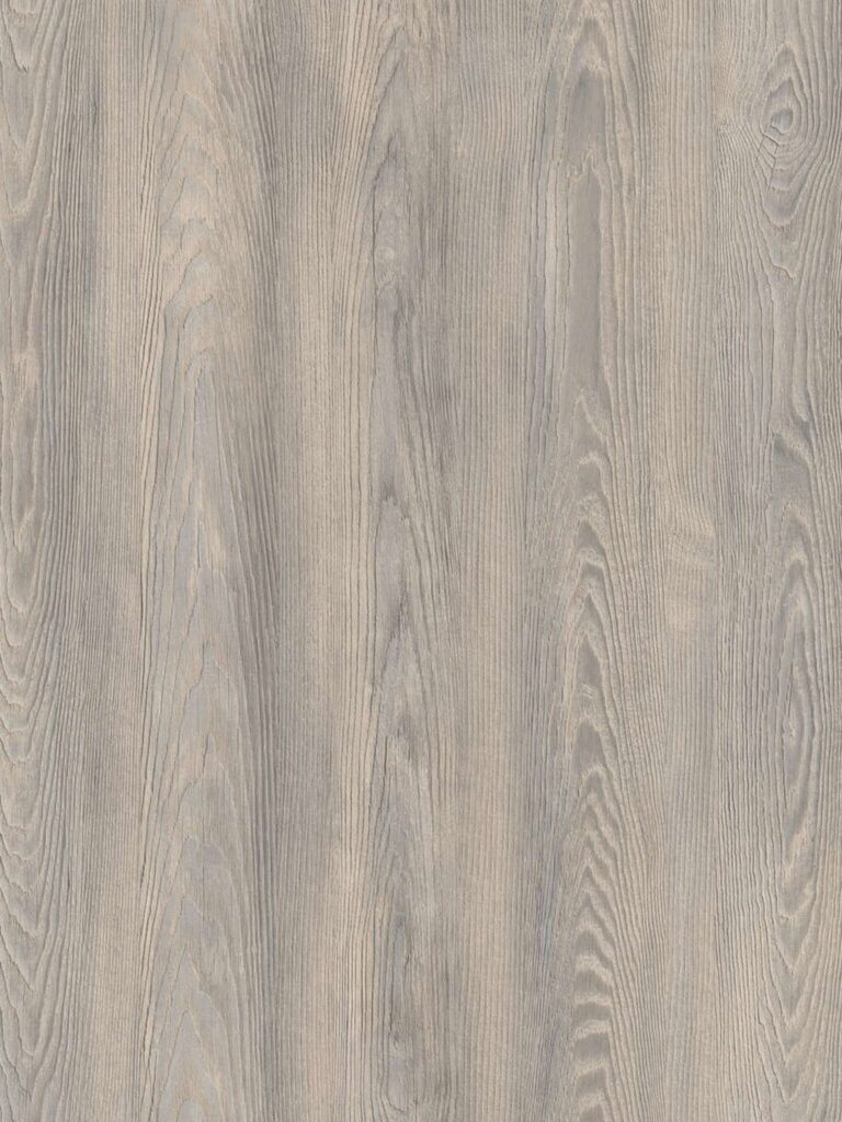 ATENAS CASTAÑO JUPITER