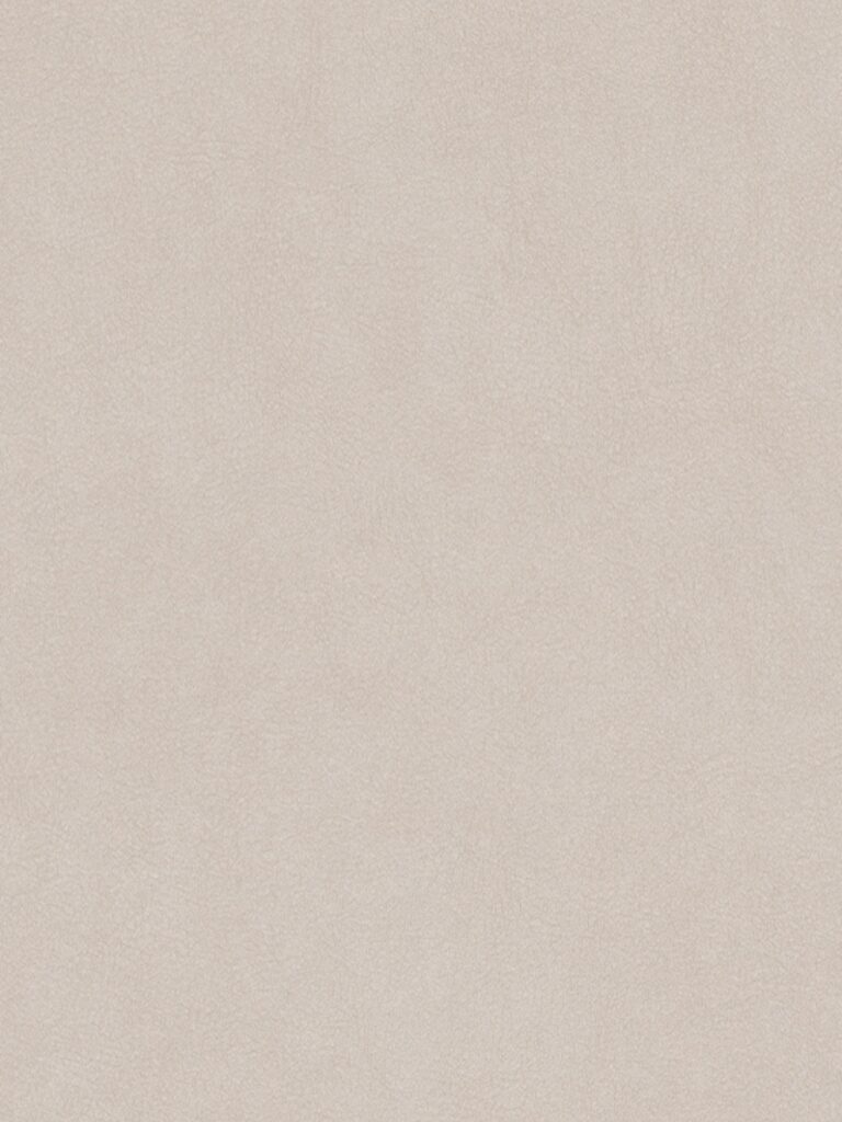 Diseno sin titulo 2026 02 02T152810.866