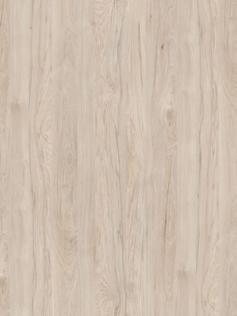 Diseno sin titulo 2026 02 02T160137.224