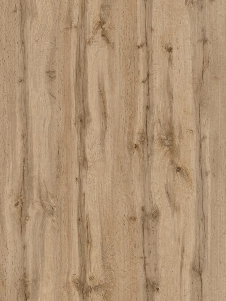 Diseno sin titulo 2026 02 02T160458.568