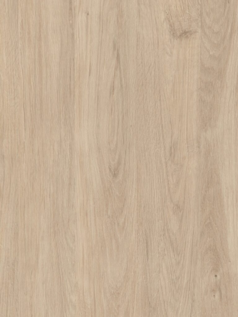 Diseno sin titulo 2026 02 02T164523.955