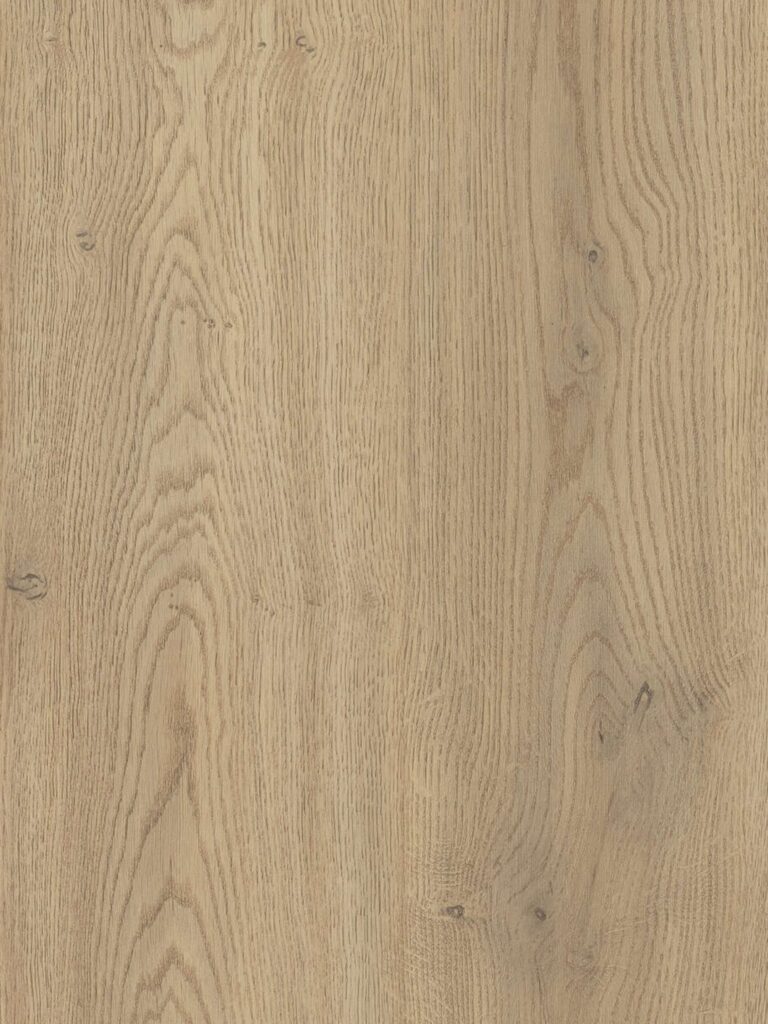 Diseno sin titulo 2026 02 02T164603.438