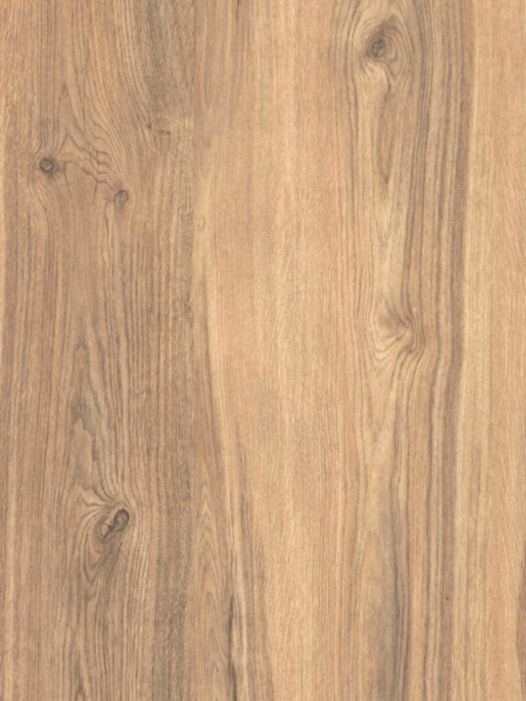 Diseno sin titulo 2026 02 03T100342.721