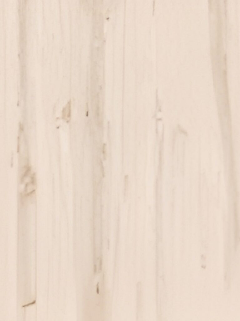 Diseno sin titulo 2026 02 03T131323.906