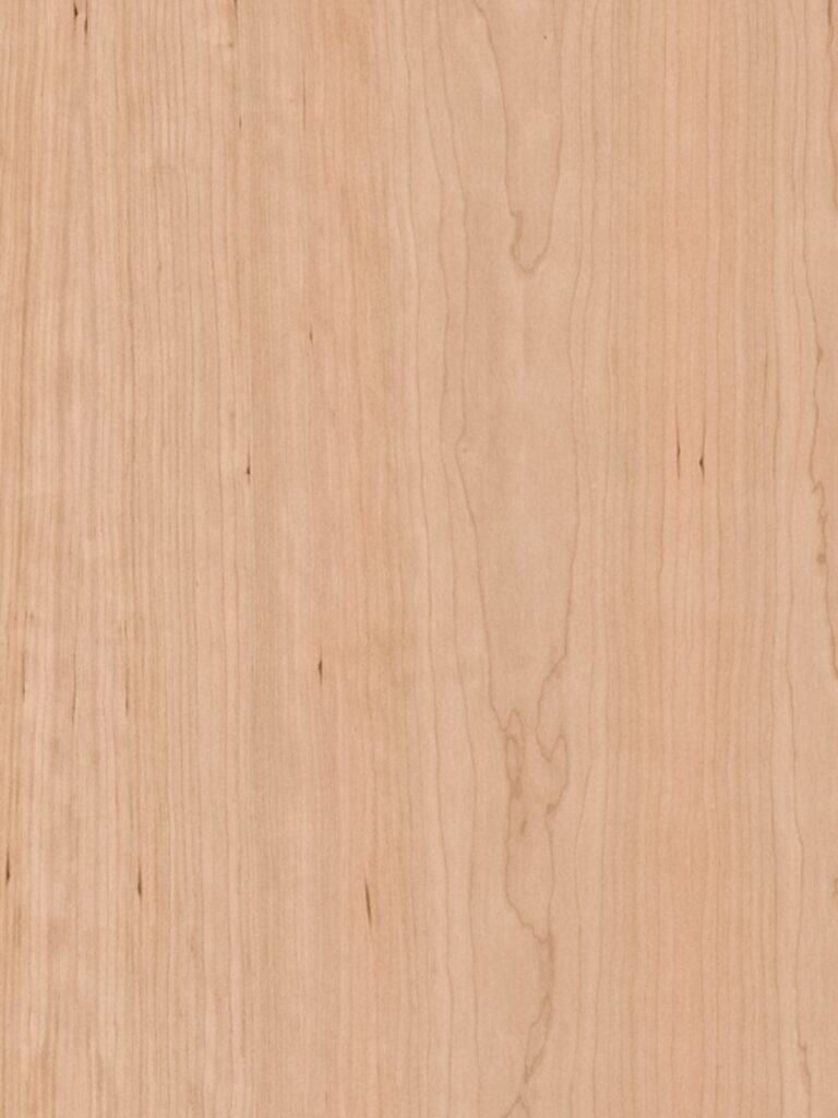 Diseno sin titulo 2026 02 18T121213.761