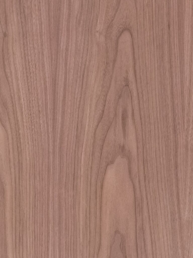 Diseno sin titulo 2026 02 18T121546.531