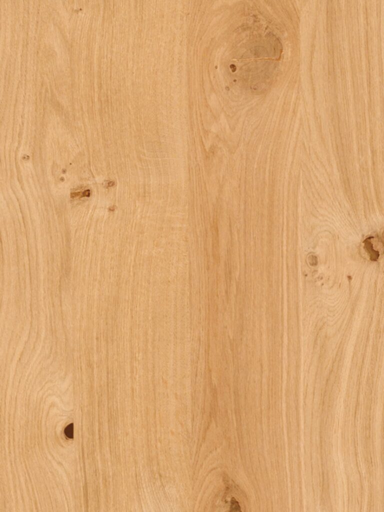 Diseno sin titulo 2026 02 18T123131.711