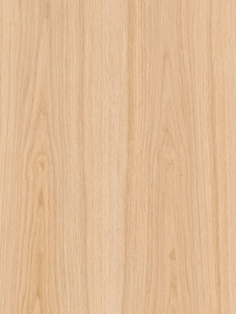 Diseno sin titulo 2026 02 19T123957.668